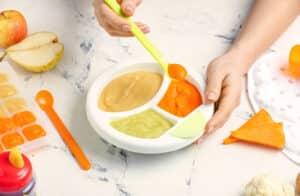 Purée froide bébé